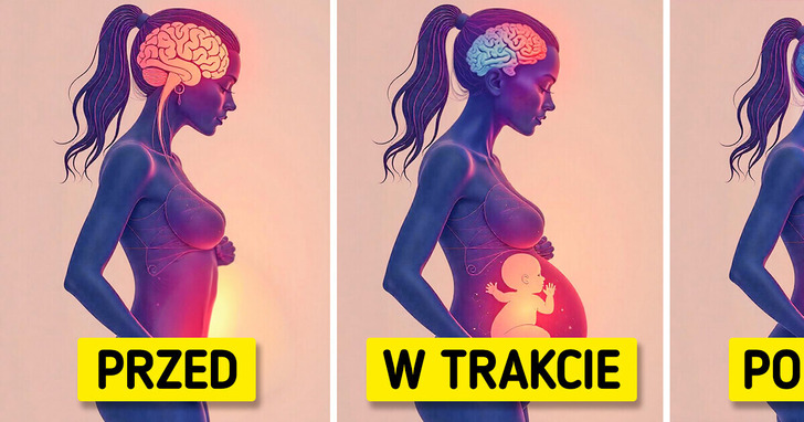 Badania dowodzą, iż ciąża zmienia mózg na zawsze