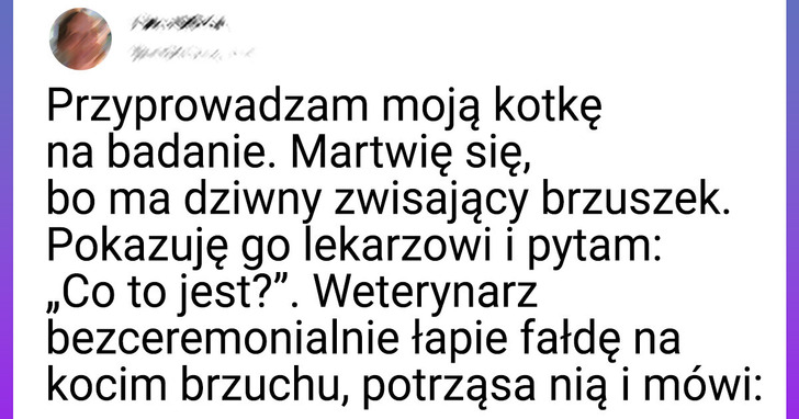 27 tweetów, z którymi na pewno utożsamią się właściciele zwierzaków