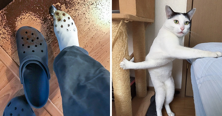 20 razy, kiedy w zupełnie zwykły dzień nagle coś poszło nie tak