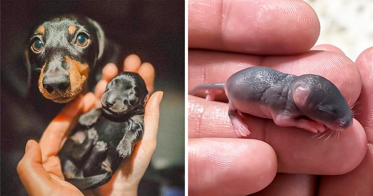 17 zdjęć ukazujących piękno i czułość natury