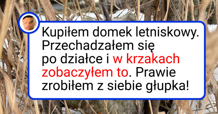 18 osób zobaczyło coś, co zjeżyło im włosy na głowie