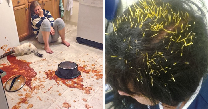 17 osób, które doskonale wiedzą, jak wygląda zły dzień