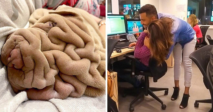 19 zdjęć, które mogą kompletnie namieszać ci w głowie