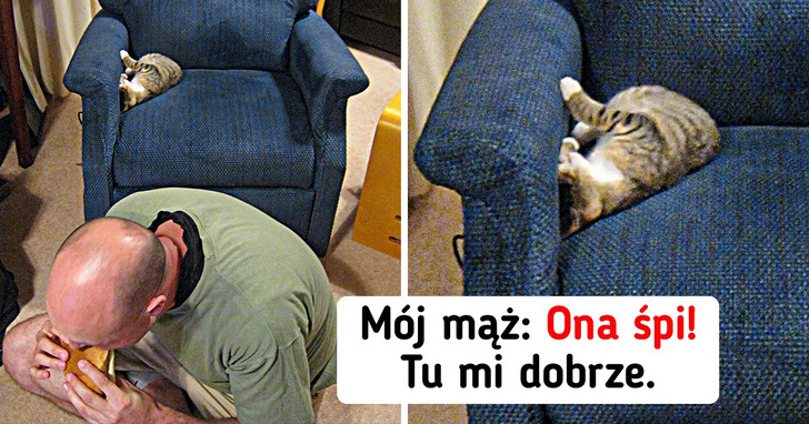 17 zdjęć, które udowadniają, iż dla swoich zwierzaków jesteśmy gotowi zrobić wszystko