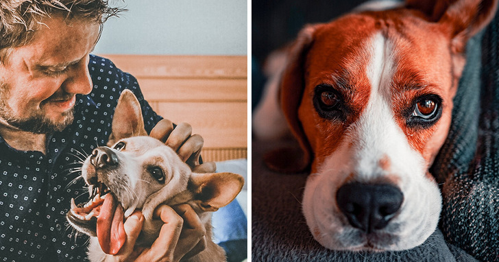 Mój pies przegryzł mi palec u nogi do kości, gdy spałem. Uratował mi życie