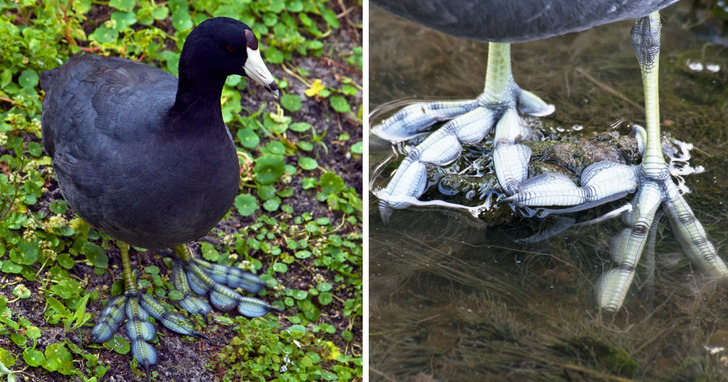 8 zdjęć, którym trzeba dokładnie się przyjrzeć, żeby dostrzec ukryte cuda natury