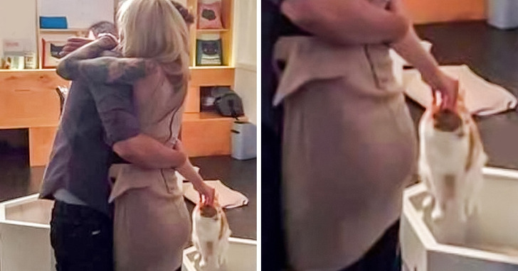 14 zdjęć, które nie są wyjątkowe, dopóki nie przyjrzysz im się bliżej