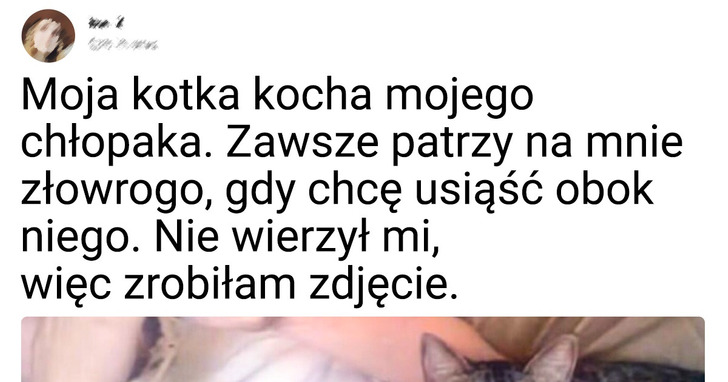 18 futrzastych łobuziaków, którym dobre maniery są zupełnie obce
