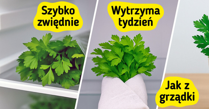 Dowiedz się, które z tych 12 produktów nie powinny być przechowywane w lodówce