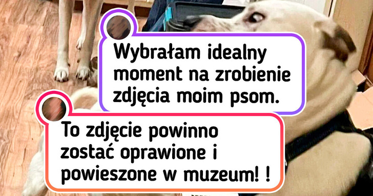 20 ujęć, które zaskoczyły choćby samego fotografa