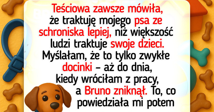 Teściowa przekroczyła granicę — nie szanuje mojego psa