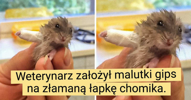 28 osób, które uwielbiają swoją pracę i są naprawdę dobre w tym, co robią