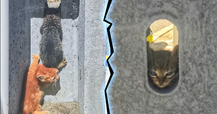 20 drobnostek, które sprawiły, iż zwyczajny dzień stał się wyjątkowy