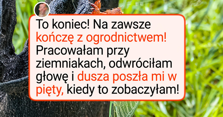 16 powodów, dla których ogrodnicy łapią za aparat
