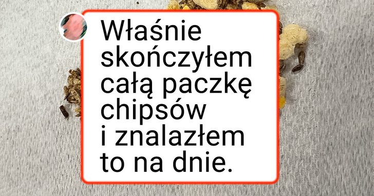 16 osób, które chciały po prostu zjeść coś smacznego, ale coś poszło nie tak