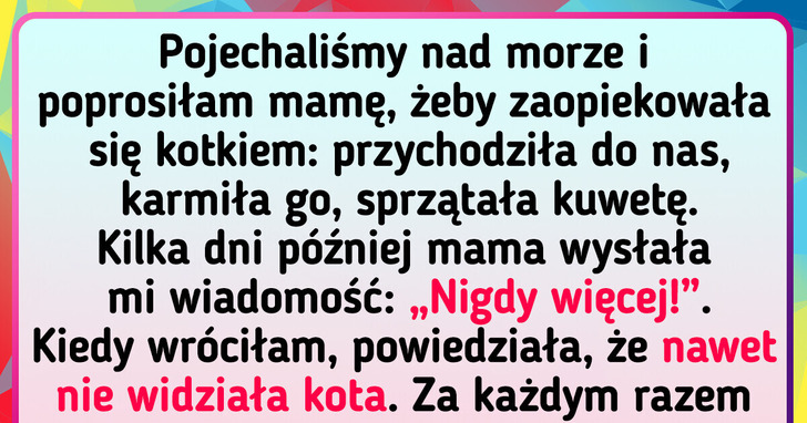 Wzięliśmy kota ze schroniska i często żałowaliśmy tej decyzji