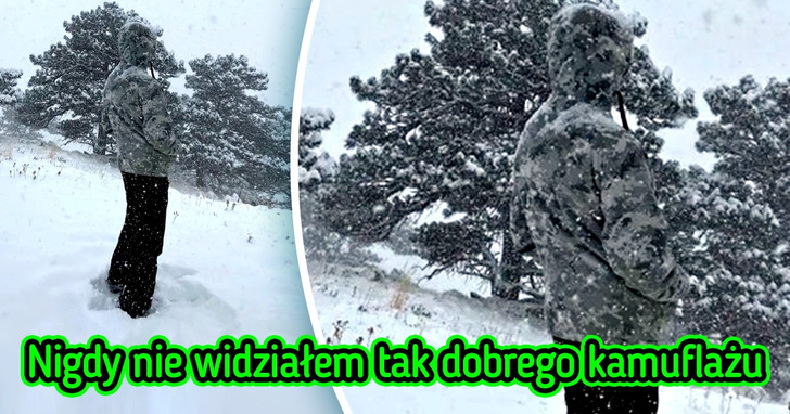 21 przypadków doskonałego kamuflażu