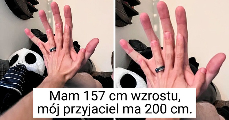 16 zdjęć udowadniających, iż życie to pudełko pełne niespodzianek