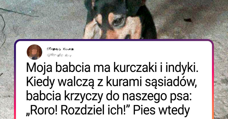 21 czytelników Jasnej Strony, którzy mają niezwykle inteligentne zwierzaki