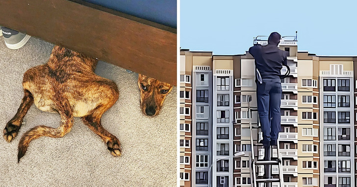 15 deceptive photos that will kick your imagination into overdrive