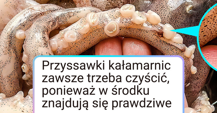 16 rzeczy, w które trudno uwierzyć, choćby widząc je na własne oczy