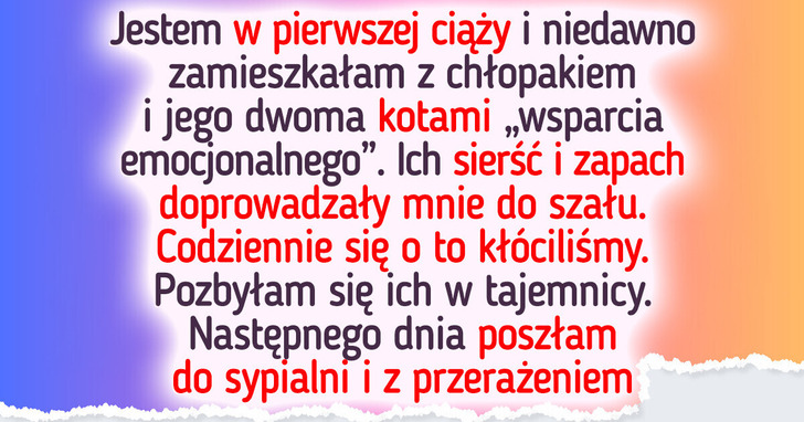 Potajemnie pozbyłam się kotów mojego chłopaka — nasze dziecko jest najważniejsze