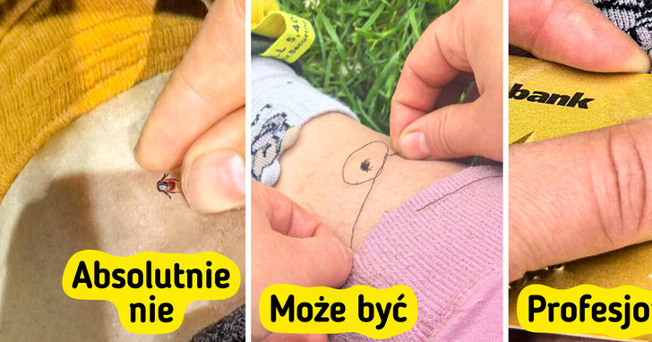 Dwie niezawodne metody na usunięcie kleszcza przy pomocy tego, co masz pod ręką