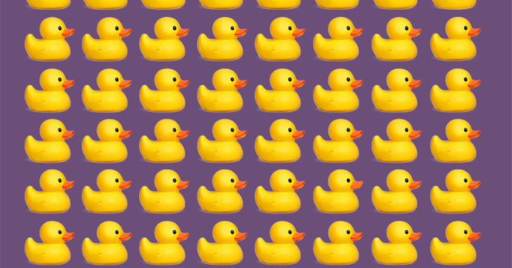 Znajdź przedmiot, który różni się od pozostałych