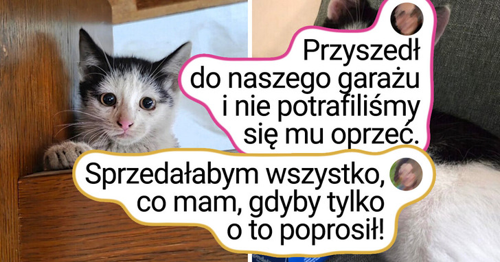 20+ pupili, których życie zaczęło się ciężko, a potem nagle stało się cudowne