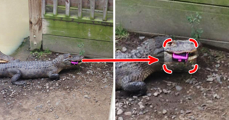 13 zdjęć zabawnych, ale na pewno frustrujących pomyłek