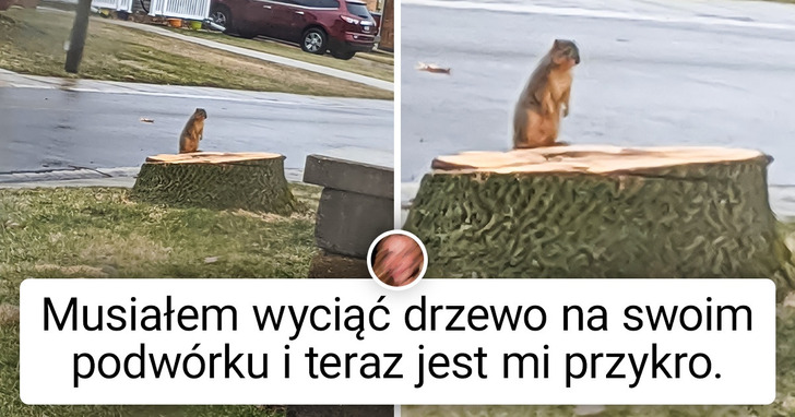 20 osób, które miały bardzo nudny dzień, dopóki nie wydarzyło się nieoczekiwane