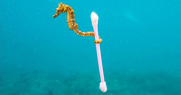 13 zdjęć pokazujących skomplikowane relacje człowieka z naturą