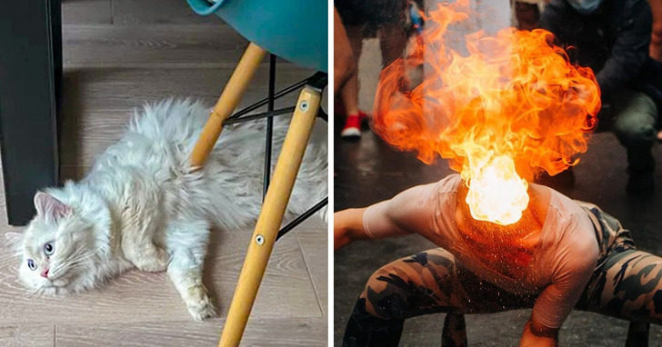 20 przypadków, gdy musieliśmy wytężyć wzrok, by pojąć, iż to tylko złudzenie