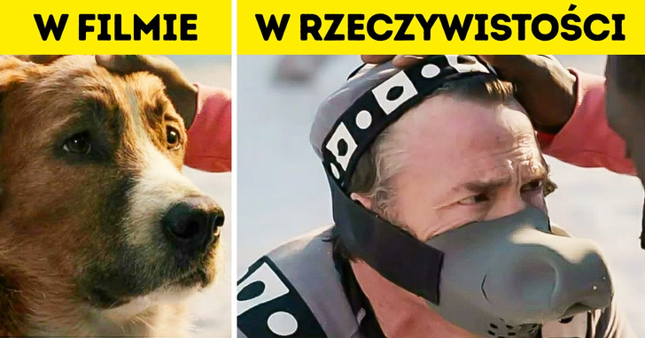 16 zdjęć zza kulis, które pokazują, co tak naprawdę dzieje się na planie filmowym