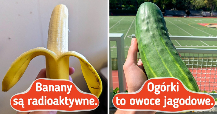 10 zaskakujących faktów na temat pozornie zwyczajnych rzeczy