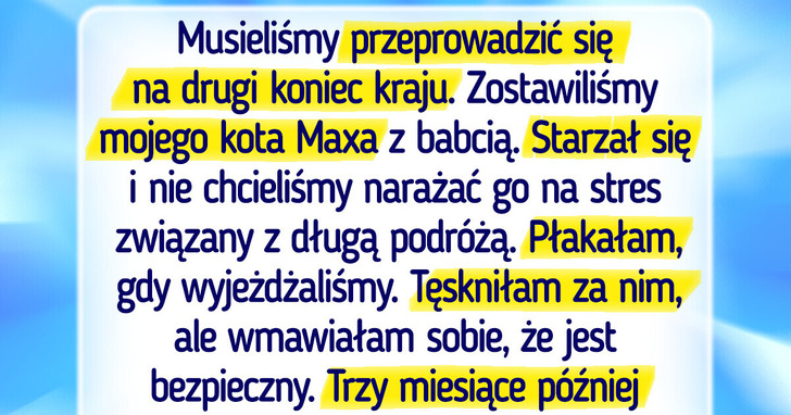 13 rozczulających historii, które udowadniają, iż koty mają wielkie serce