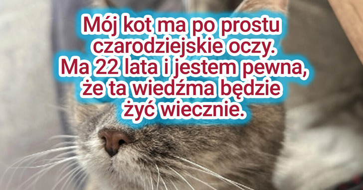 27 zwierząt, które wyglądają tak dziwacznie, iż trudno oderwać od nich wzrok