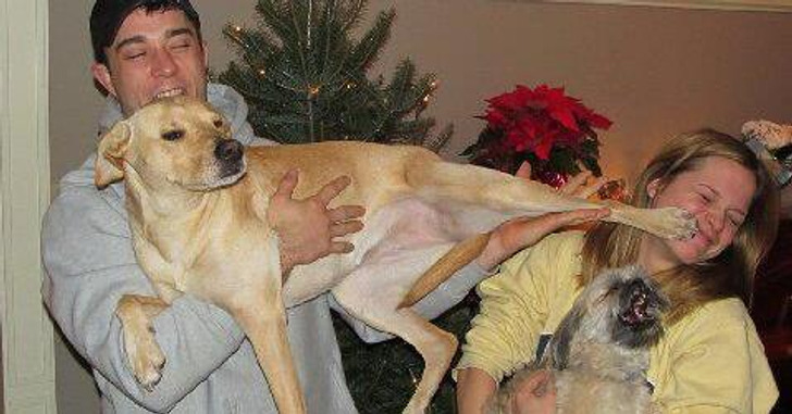 16 namolnych zwierzaków, które bez przerwy domagają się uwagi