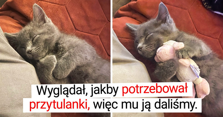 15 uroczych zdjęć, które poruszą choćby serca z kamienia