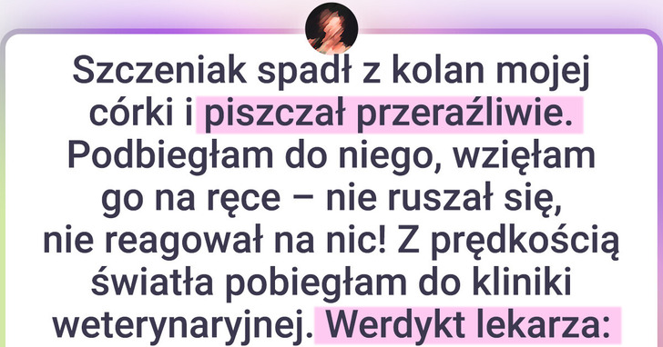 18 błyskotliwych tweetów dla tych, którzy potrzebują solidnej dawki śmiechu