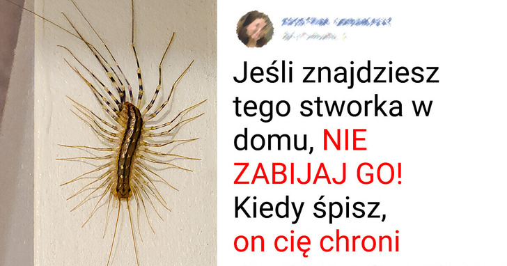 8 zwierząt, które ratują planetę (i nas!)