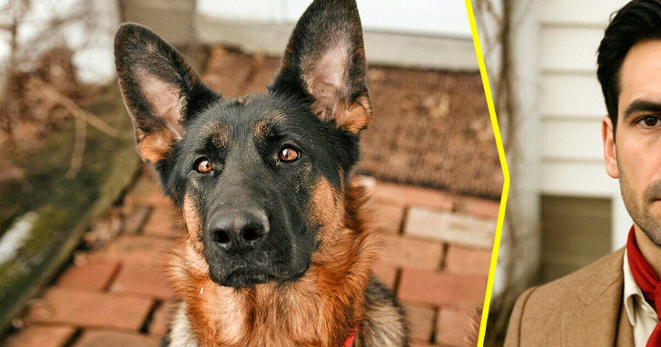 Jak wyglądałoby 11 ras psów, gdyby były ludźmi