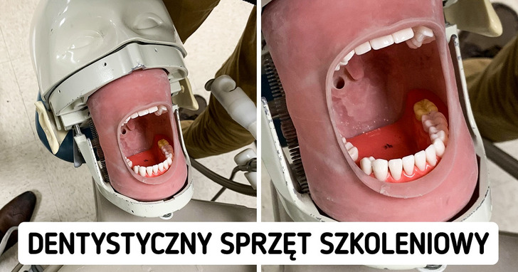 16 zdjęć, których zupełnie nie spodziewaliśmy się dziś zobaczyć