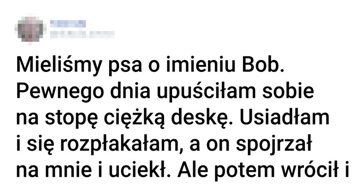 21 zwierzaków, które zadziwiły właścicieli swoją inteligencją