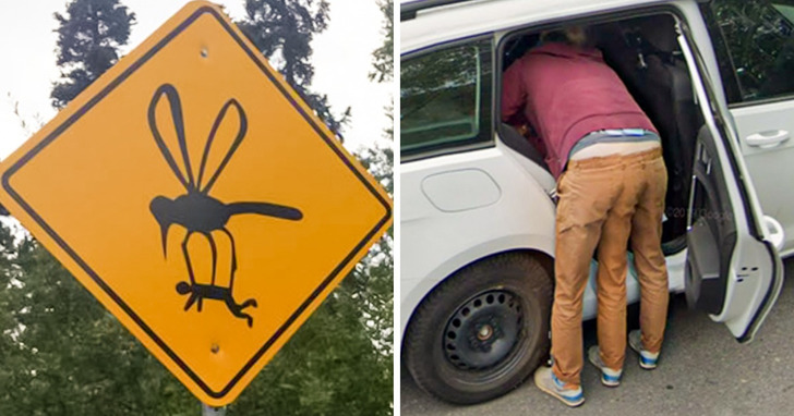 15 rzadkich zjawisk, które potrafią skutecznie urozmaicić codzienną rutynę