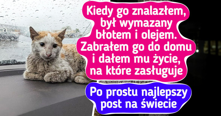 16 zwierzaków, które rozkwitły dzięki miłości swoich opiekunów