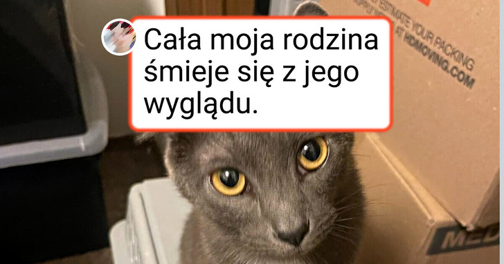 15 wyjątkowych zwierzaków, które zostały obdarowane przez naturę nietypowym wyglądem