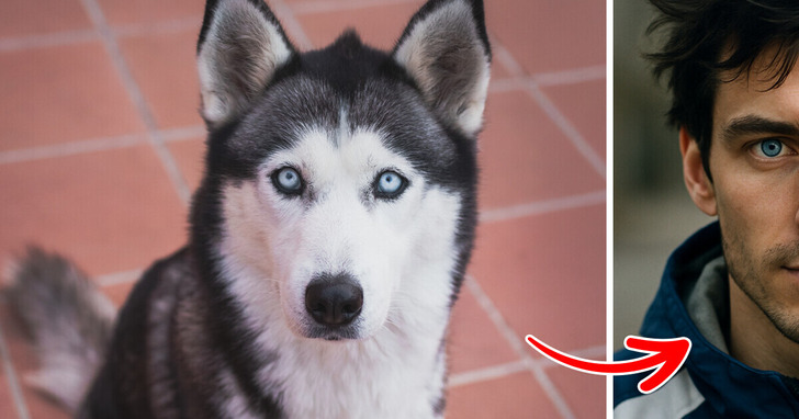 Jak wyglądałyby psy różnych ras jako ludzie