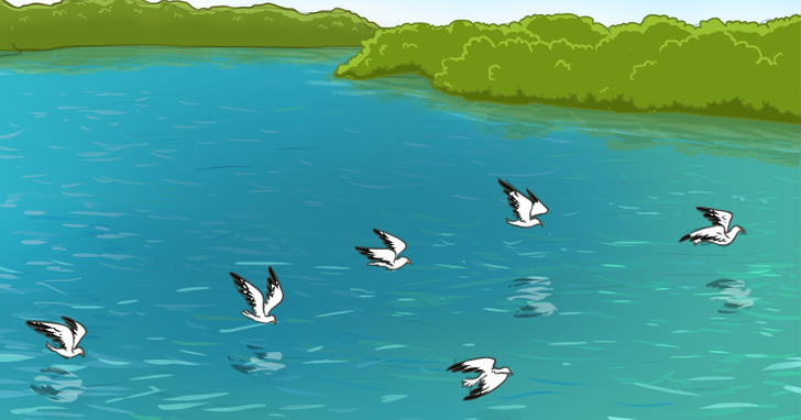 Test na spostrzegawczość: co jest nie tak na tych obrazkach?