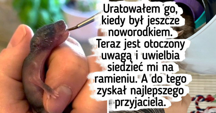 15 fotografii adoptowanych zwierzaków, które roztopią choćby serce z lodu